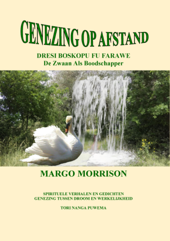 Omslag van Genezing op afstand