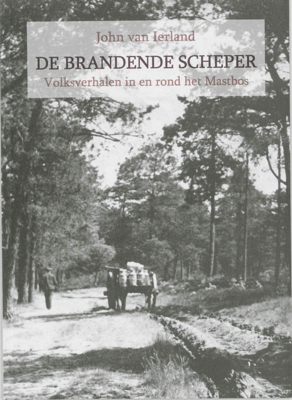 Omslag van De brandende scheper