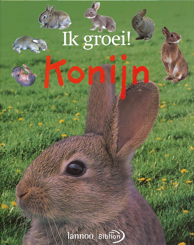 Omslag van Konijn