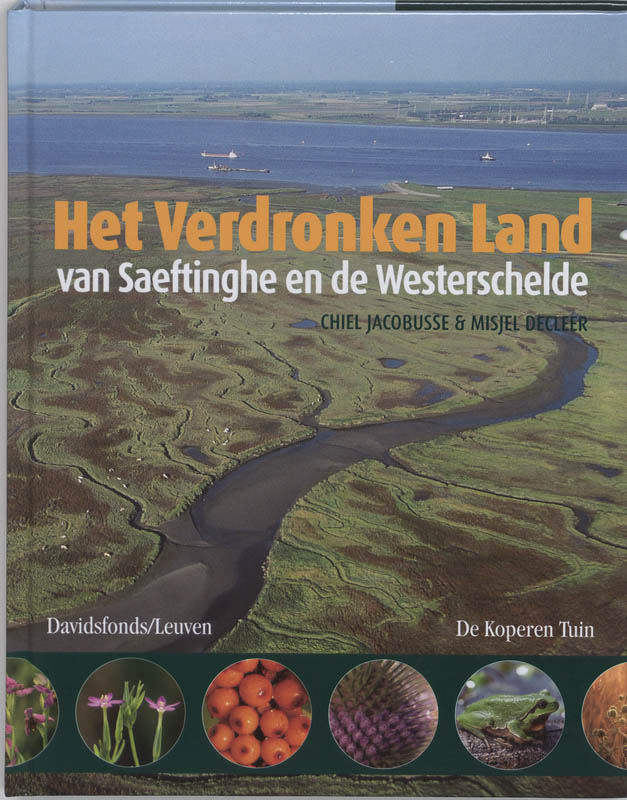 Omslag van Het verdronken land van Saeftinghe