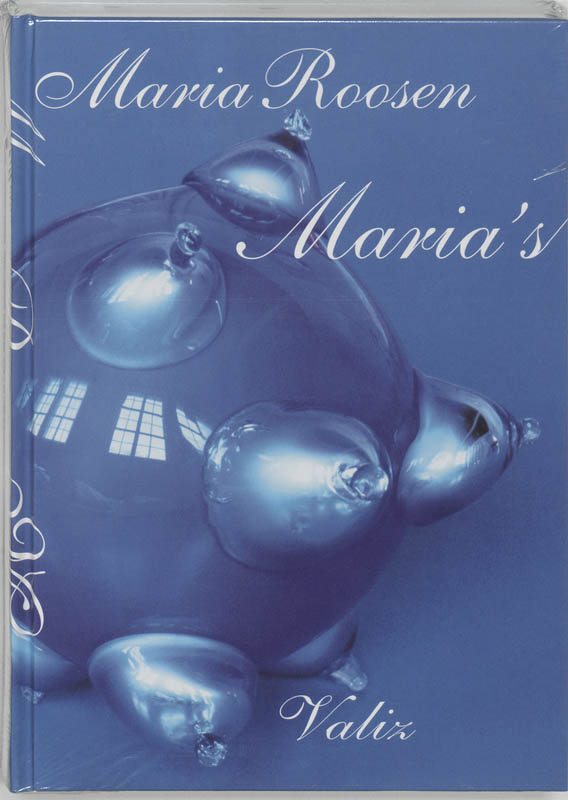 Omslag van Maria's