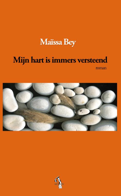 Omslag van Mijn hart is immers versteend