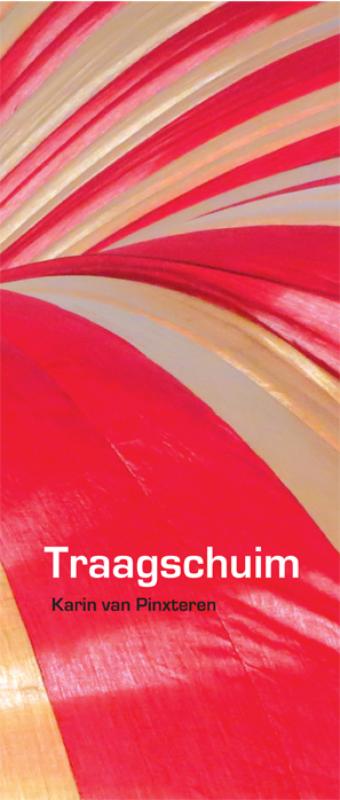 Omslag van Traagschuim