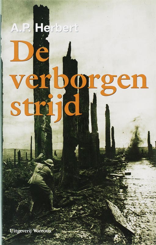 Omslag van De verborgen strijd