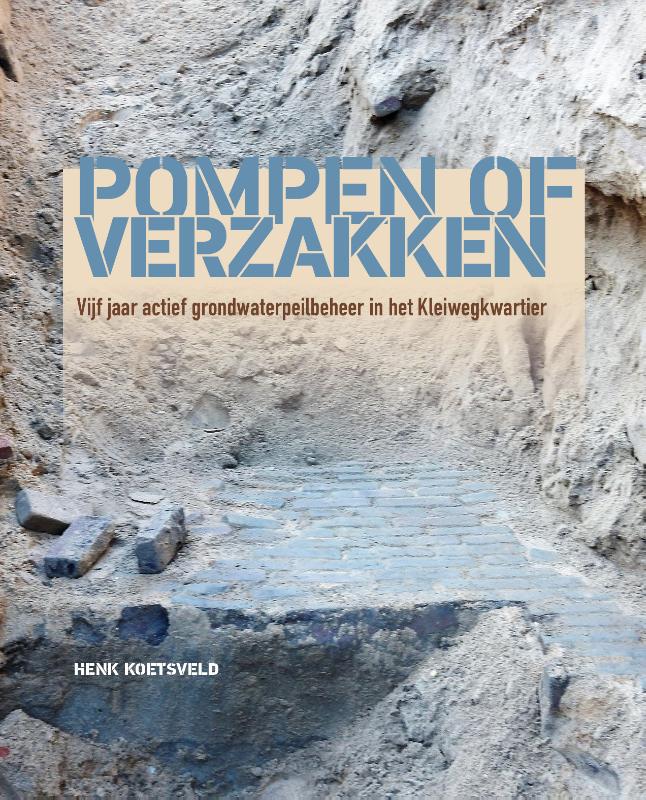 Omslag van Pompen of verzakken