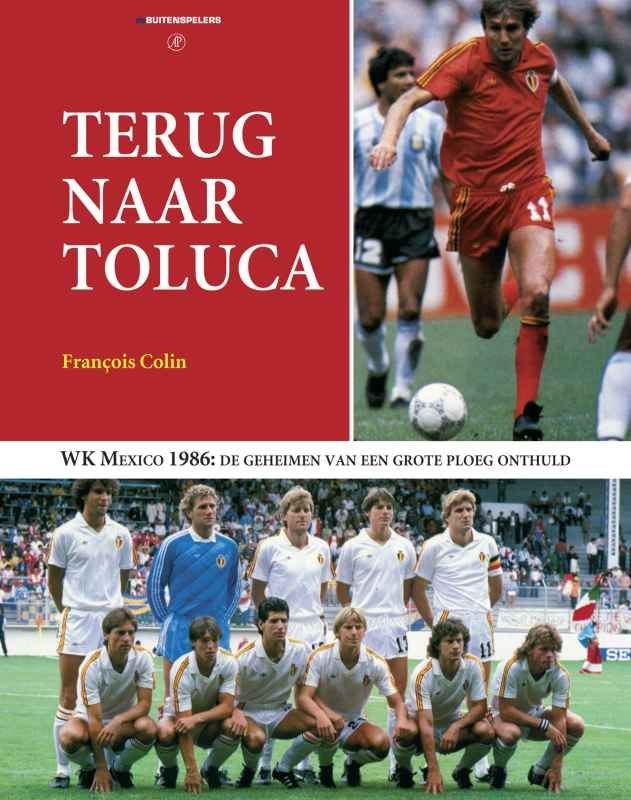 Omslag van Terug naar Toluca