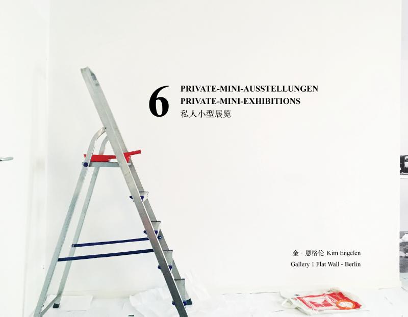Omslag van 6 Private Mini-Exhibitions