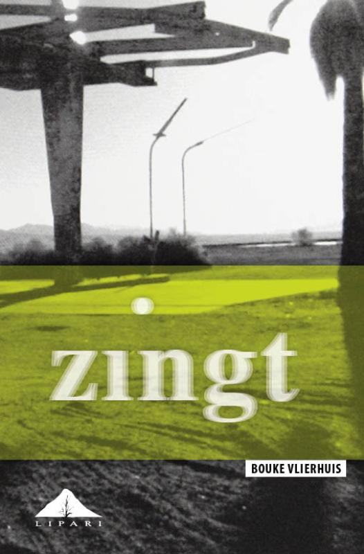 Omslag van Zingt