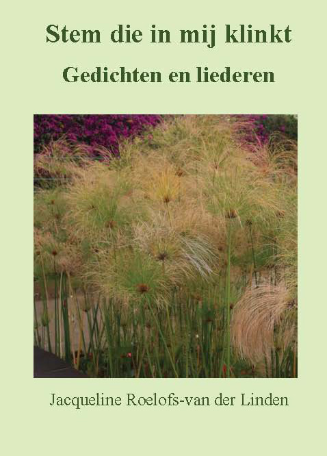 Omslag van Stem die in mij klinkt