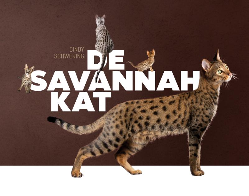 Omslag van De Savannah kat