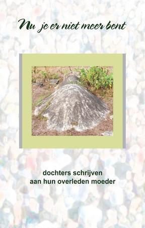 Omslag van Nu je er niet meer bent