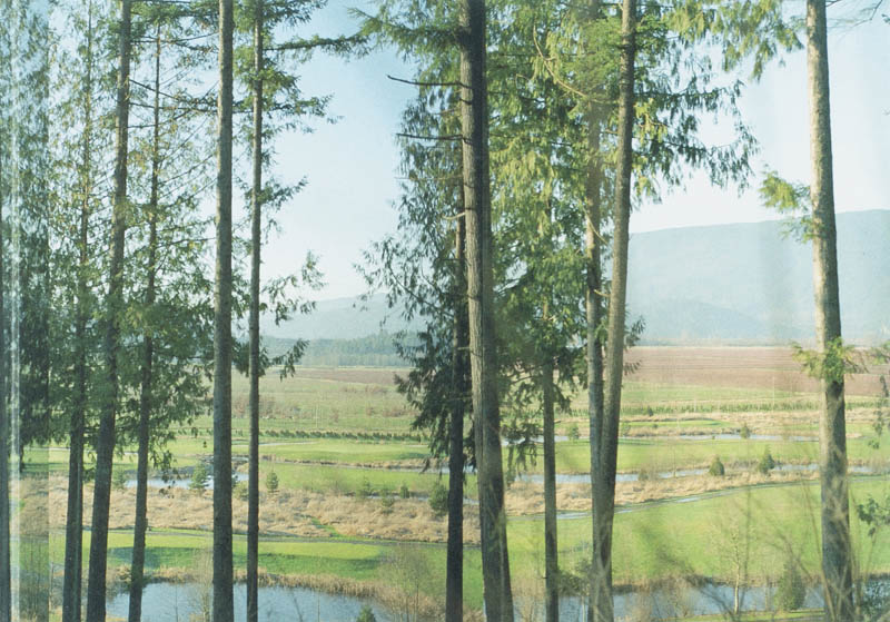 Omslag van Laag land-hoge heuvels