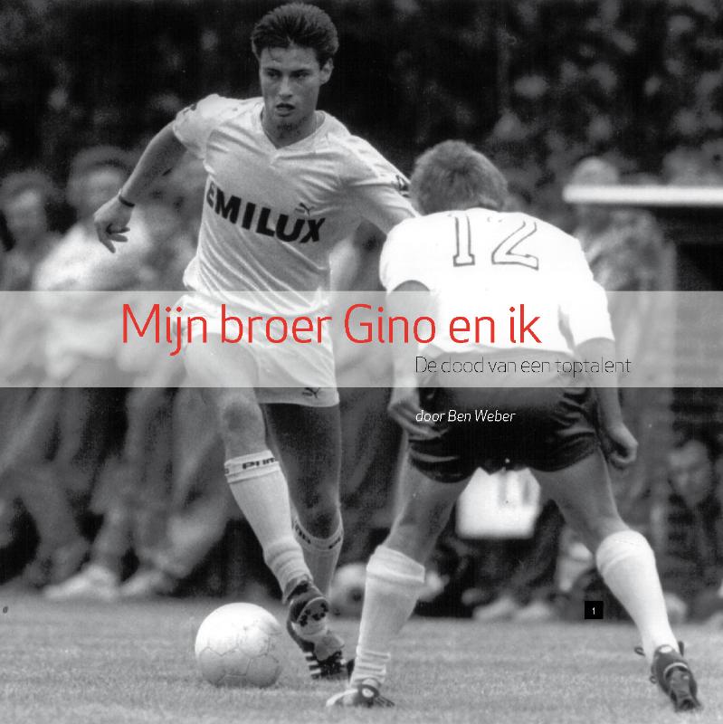 Omslag van Mijn broer Gino en ik