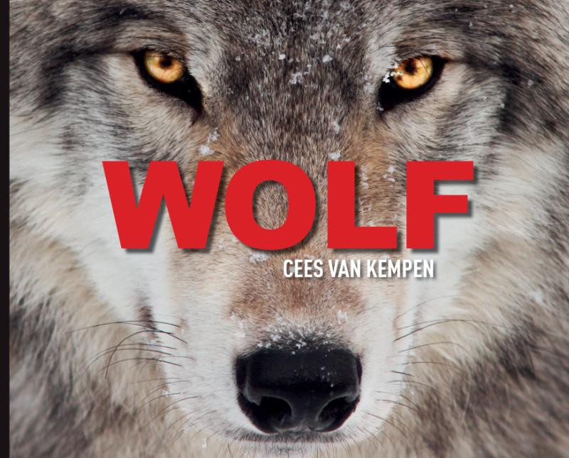 Omslag van Wolf