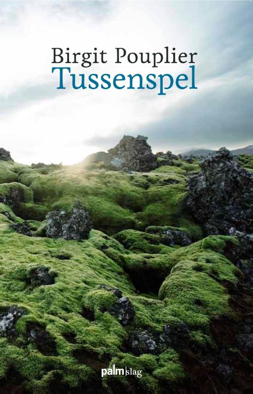 Omslag van Tussenspel