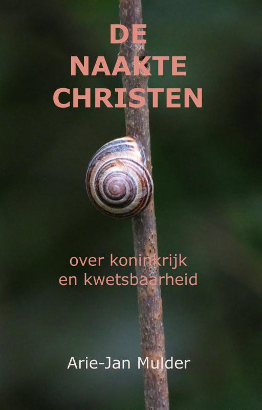Omslag van De naakte christen