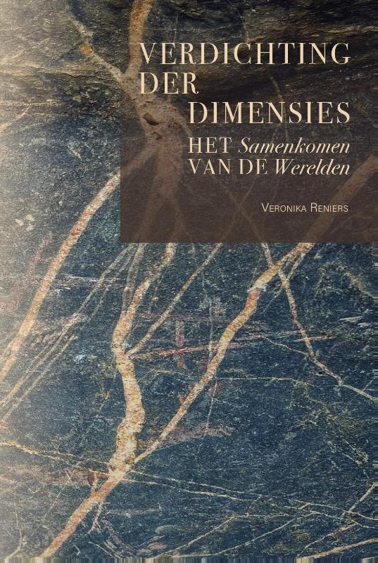 Omslag van Verdichting der dimensies