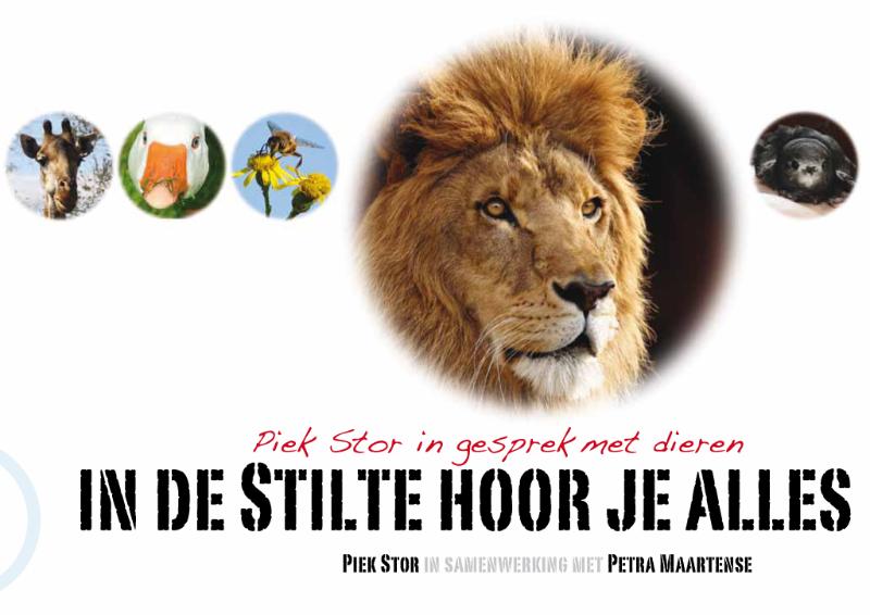 Omslag van In de stilte hoor je alles