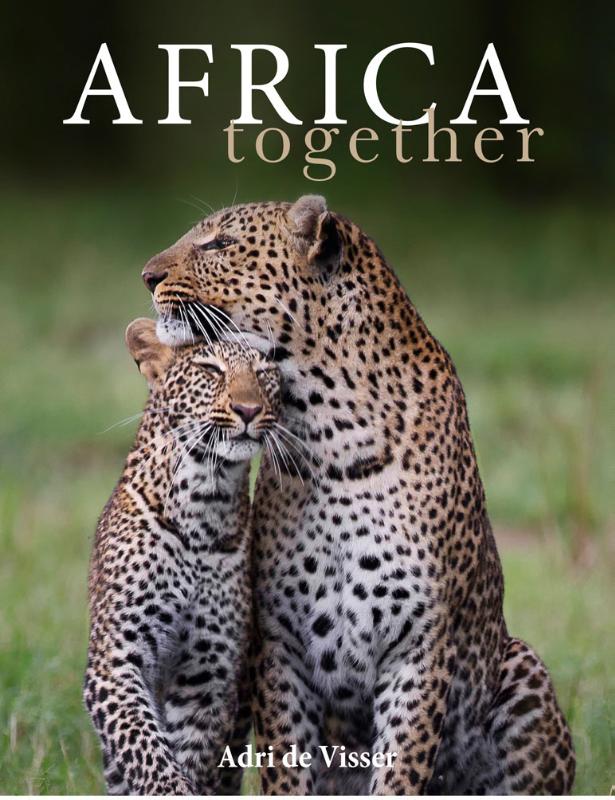 Omslag van Africa together