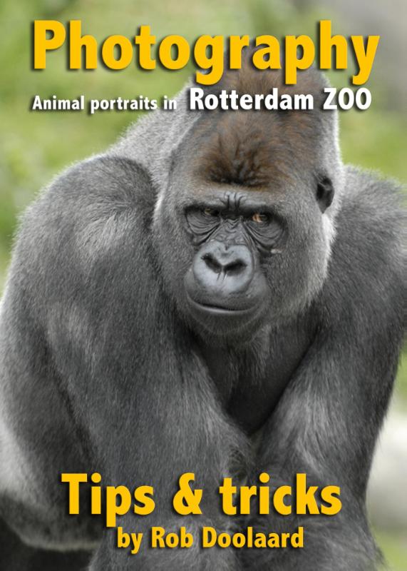 Omslag van Photography: animal portraits in the ZOO
