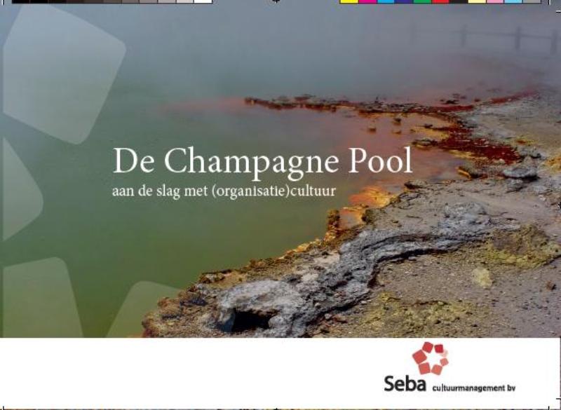 Omslag van De Champagne Pool
