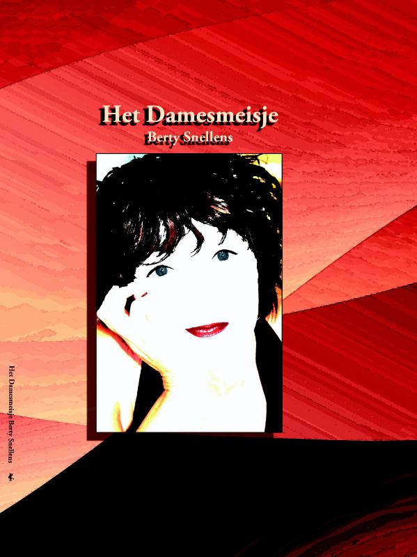 Omslag van Het Damesmeisje