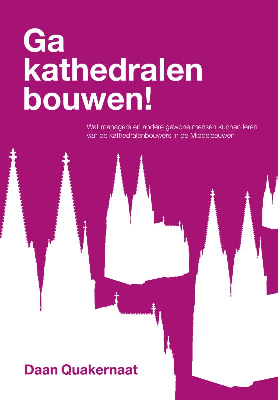 Omslag van Ga kathedralen bouwen!