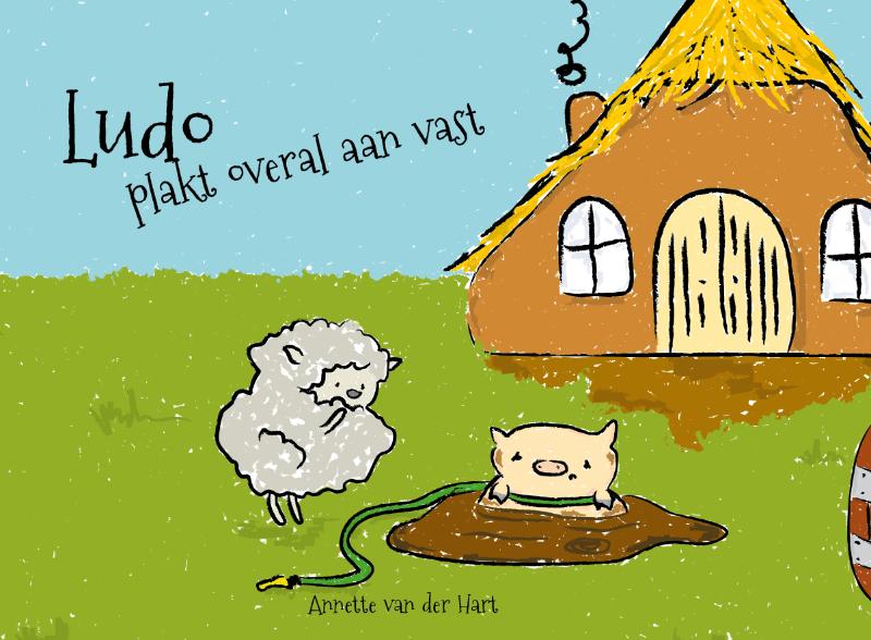 Omslag van Ludo