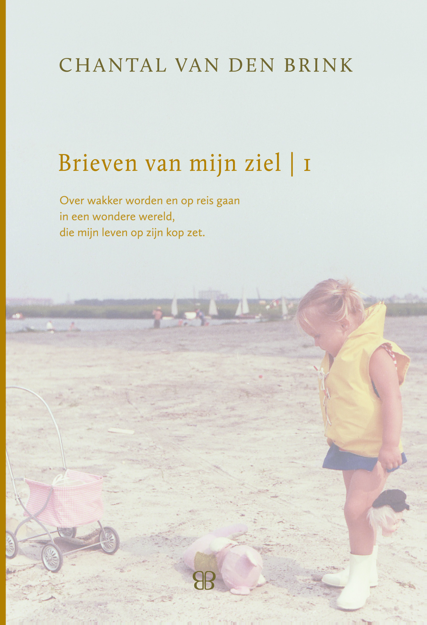 Omslag van Brieven van mijn ziel