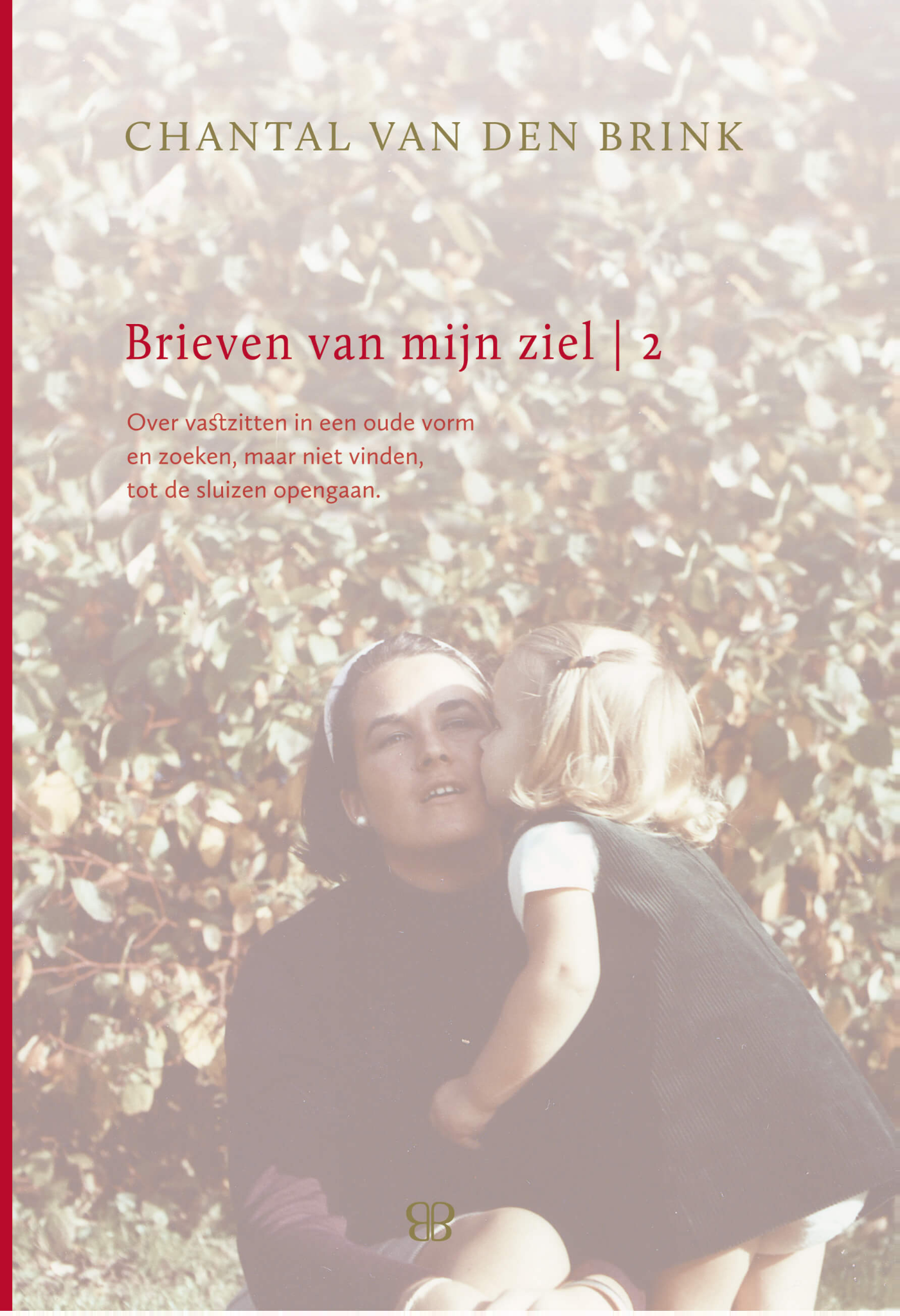 Omslag van Brieven van mijn ziel 2