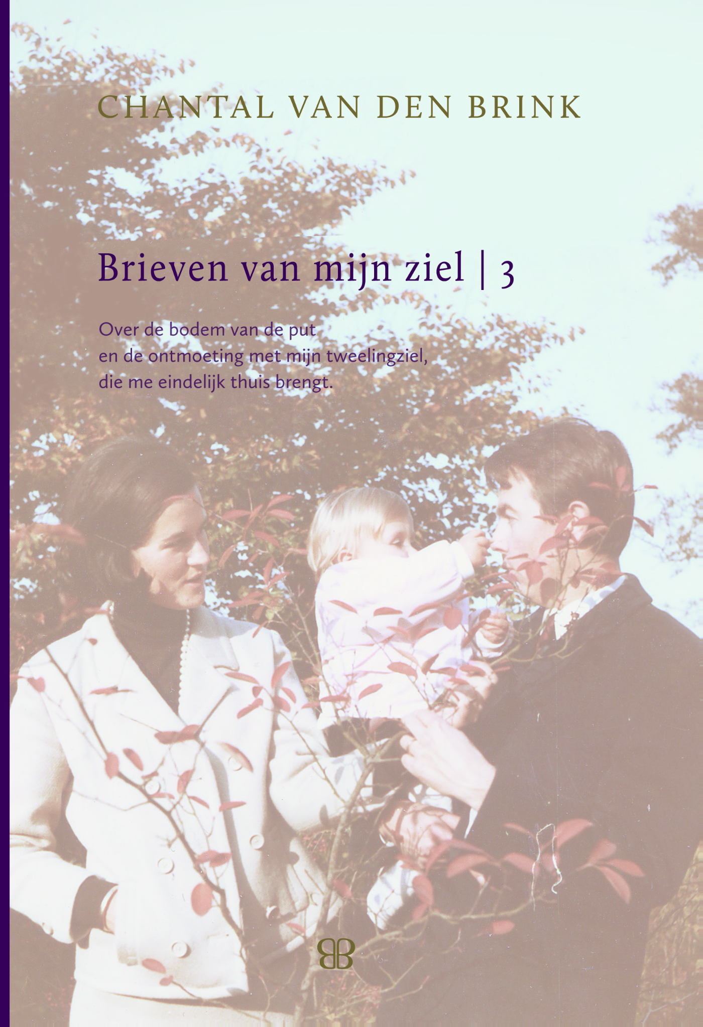 Omslag van Brieven van mijn ziel 3