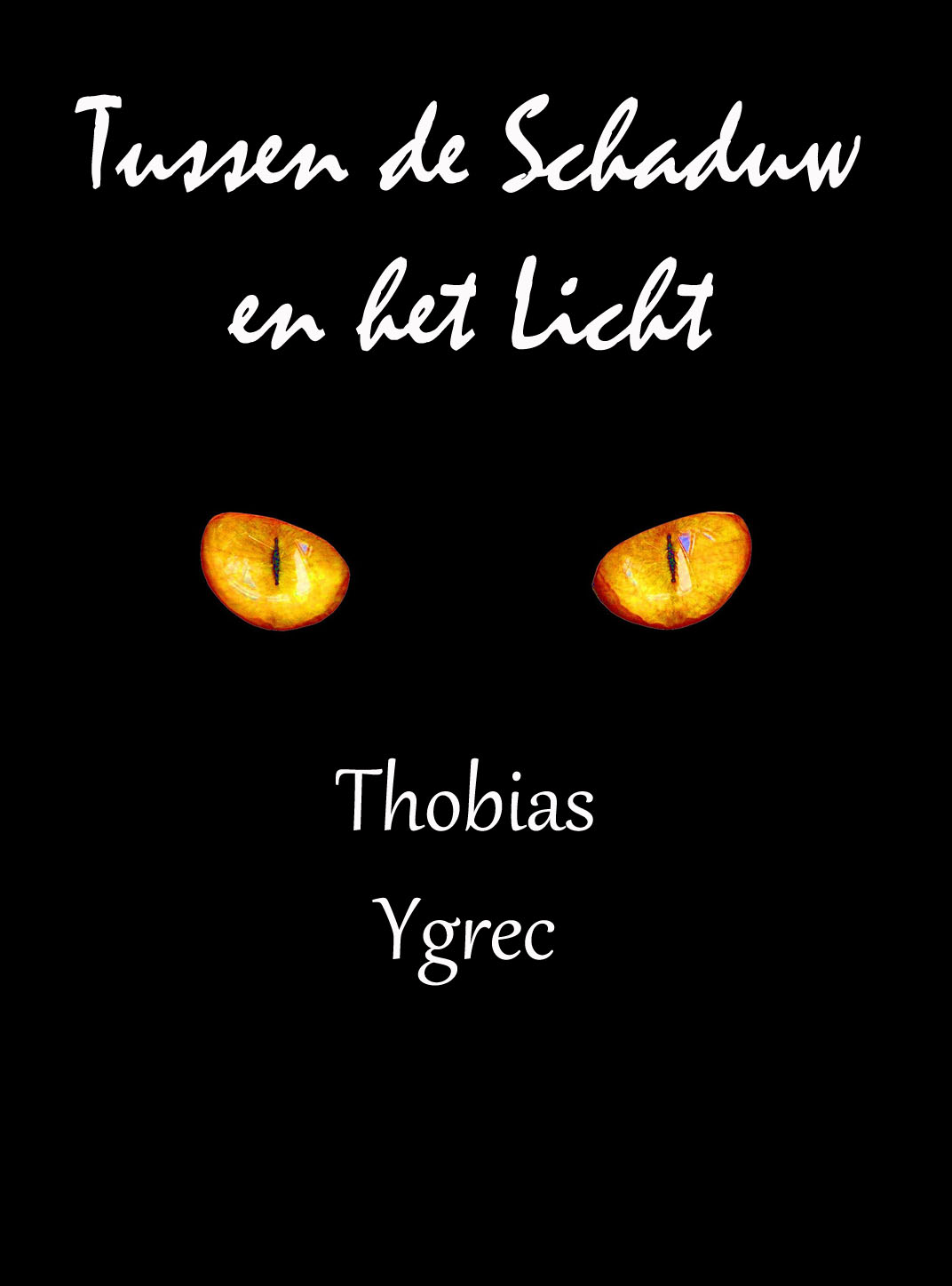 Omslag van Tussen de Schaduw en het Licht