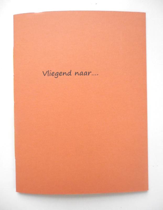 Omslag van Vliegend naar...