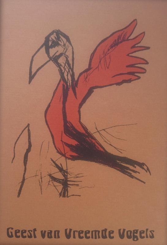 Omslag van Geest van Vreemde Vogels