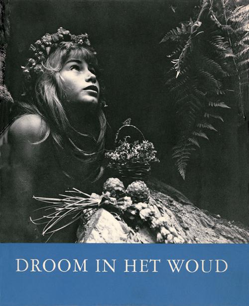 Omslag van Droom in het woud