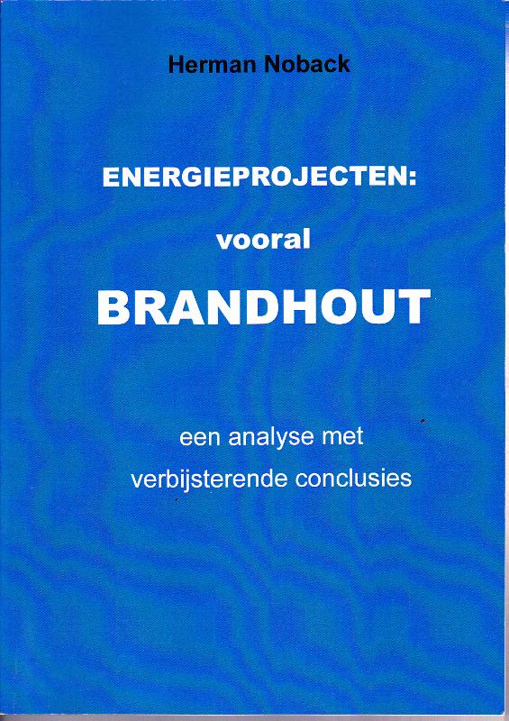 Omslag van Energieprojecten: vooral brandhout