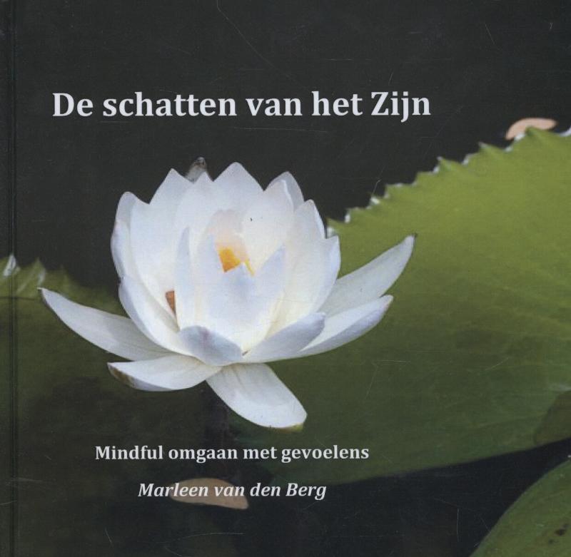 Omslag van De schatten van het zijn