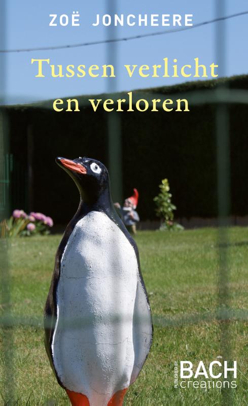 Omslag van Tussen verlicht en verloren
