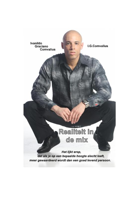 Omslag van Realiteit in de mix
