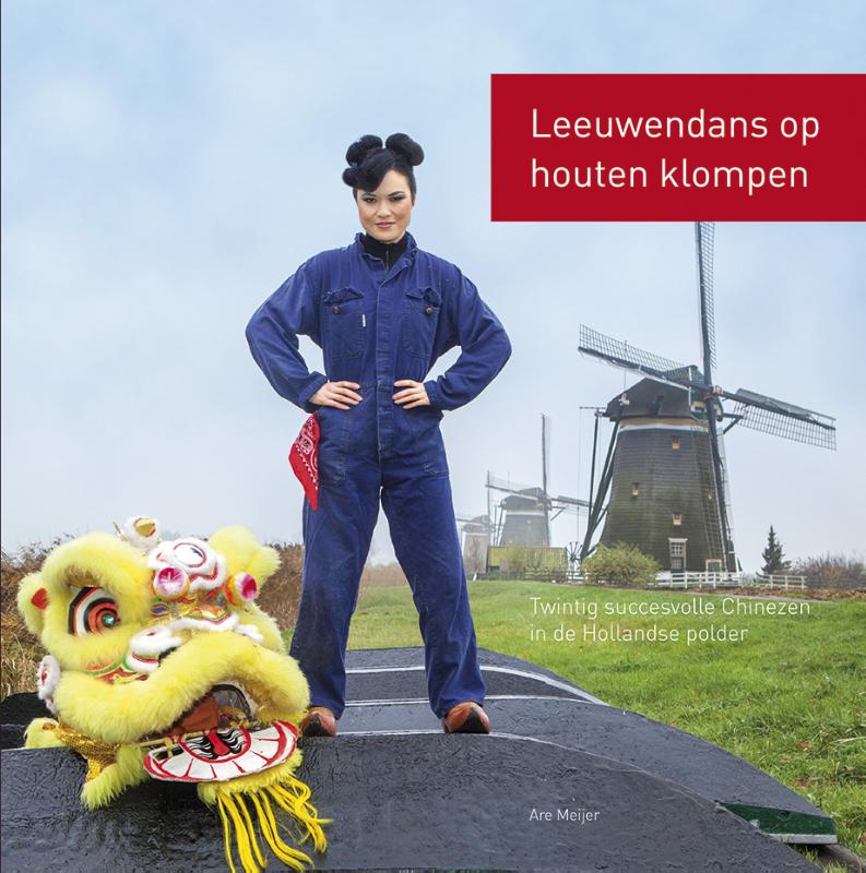 Omslag van Leeuwendans op houten klompen
