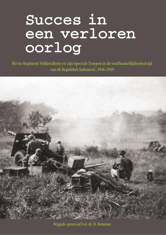 Omslag van Succes in een verloren oorlog