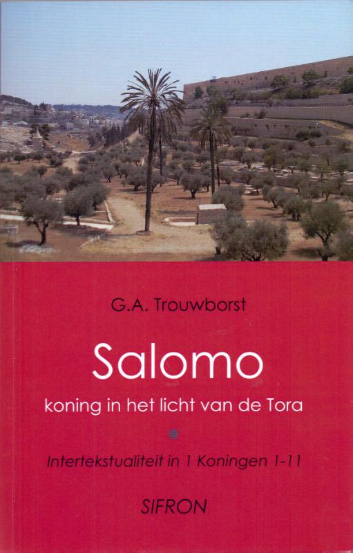 Omslag van Salomo