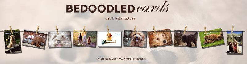 Omslag van Bedoodled®-Cards wenskaarten