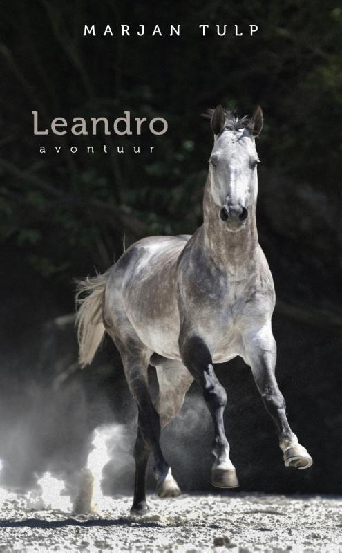 Omslag van Leandro