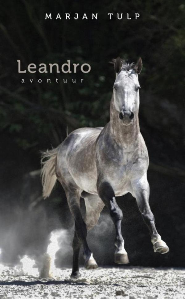 Omslag van Leandro