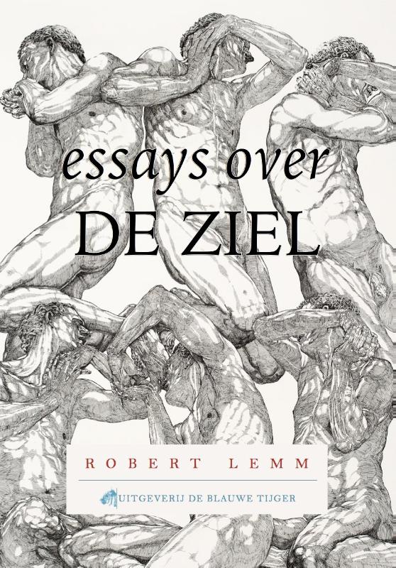 Omslag van Essays over de ziel