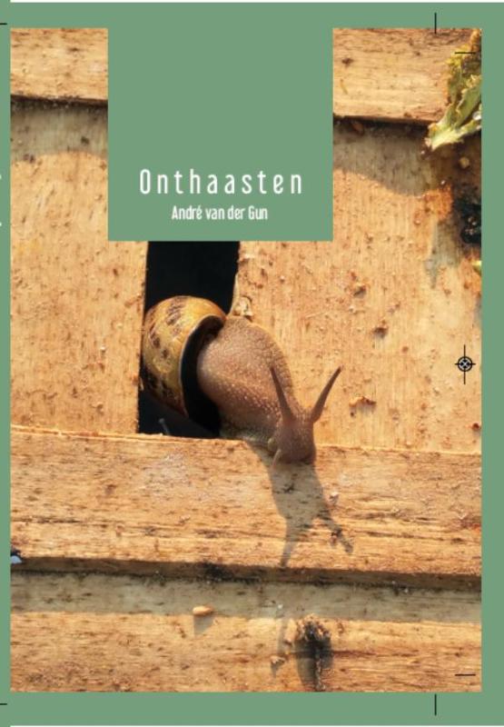 Omslag van Onthaasten