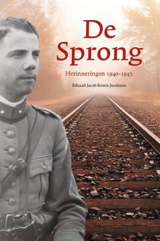 Omslag van De sprong