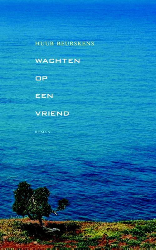 Omslag van Wachten op een vriend