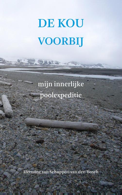 Omslag van De kou voorbij